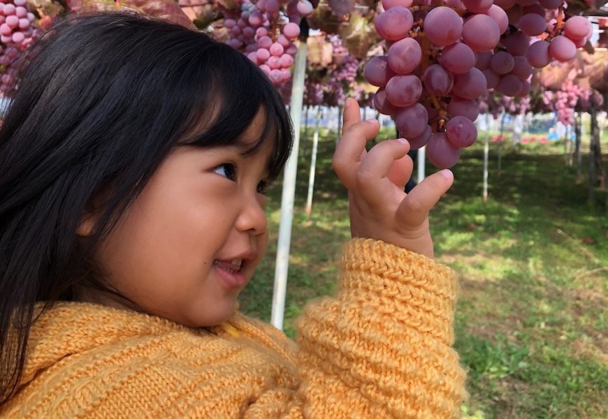 How This CEO Nurtures A Love for Math in Kids