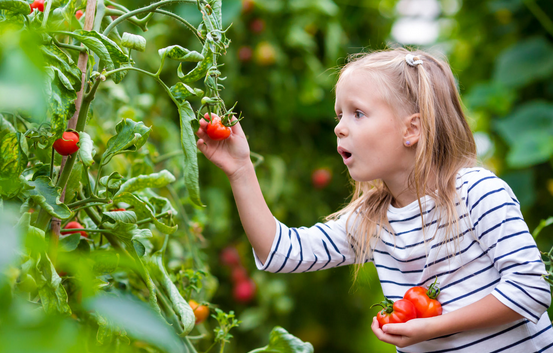 Real world lessons kids should learn in school