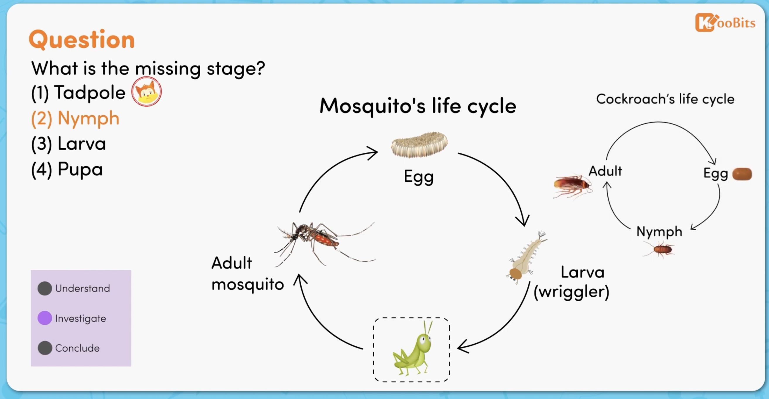 How to teach science at home