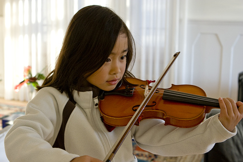 Important teaching techniques for specialized disciplines